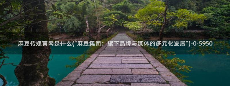 麻豆自传媒 官网:麻豆传媒官网是什么(\