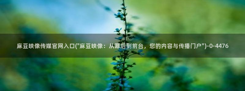 麻豆传媒直播官网H:麻豆映像传媒官网入口(\
