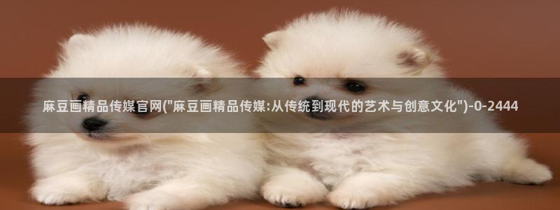 麻豆官网传媒在线观看:麻豆画精品传媒官网(\